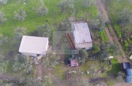 Αγροτεμάχια 38.000τ.μ. για πώληση-Δύστος » Αλώνια κριεζών