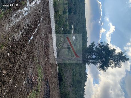 Land plot 800sqm for sale-Messapia » Drosia