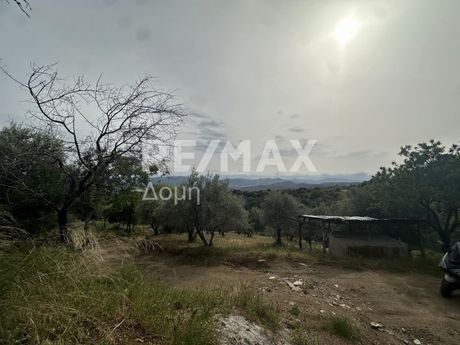 Parcel 8.526sqm for sale-Makrinitsa » Fitoko