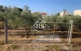 Αγροτεμάχια 811τ.μ. για πώληση-Αχαρνές » Αγία παρασκευή