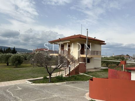 Διαμέρισμα 120 τ.μ. για πώληση