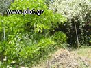 Land plot 152sqm for sale-Poligono - Tourkovounia » Poligono
