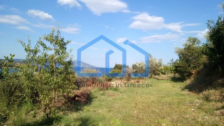 Parcel 3.842 sqm for sale, Magnesia, Pteleos