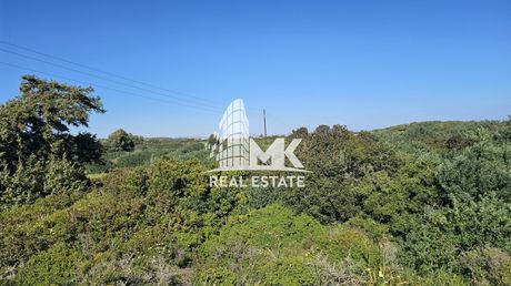 Αγροτεμάχια 4.920 τ.μ. για πώληση