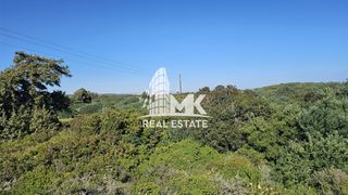 Αγροτεμάχια 4.920 τ.μ. για πώληση