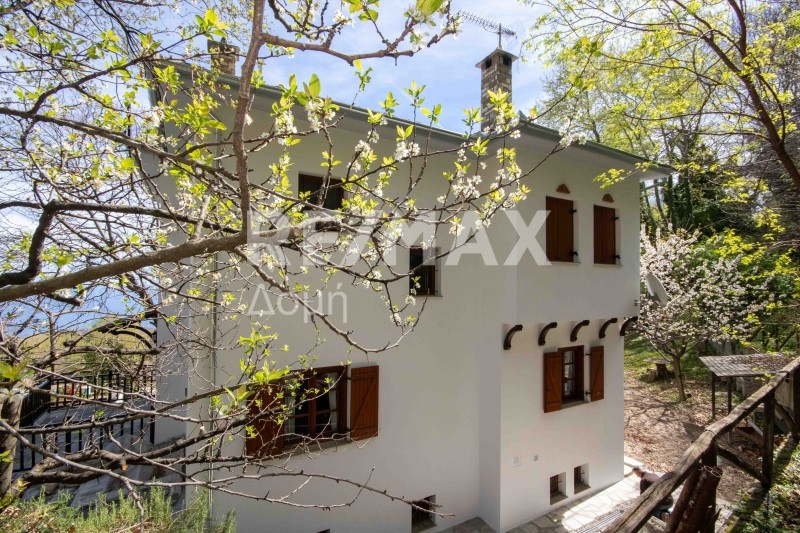 Μονοκατοικία 273 τ.μ. πρός πώληση, Μαγνησία, Μούρεσι