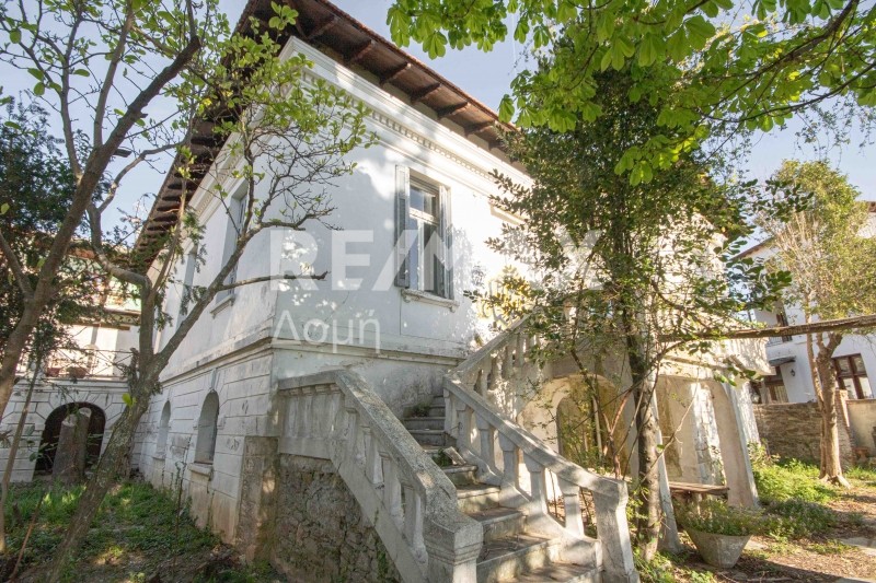 Μονοκατοικία 345 τ.μ. προς πώληση, Μαγνησία, Ζαγορά