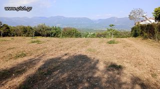 Οικόπεδο 4.000 τ.μ. για πώληση, Μεσσηνία, Ανδρούσα-thumb-2