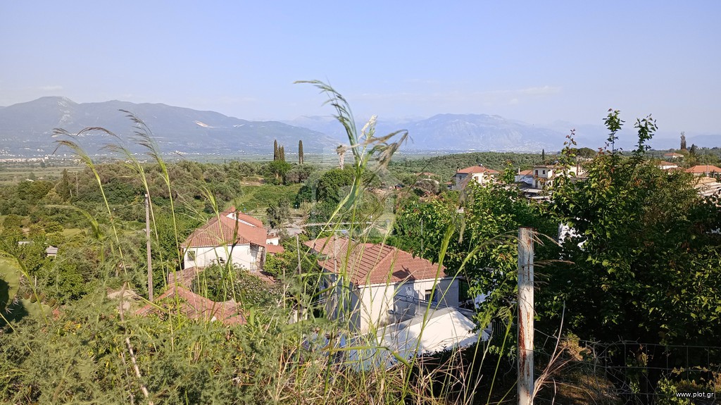 Οικόπεδο 4.000 τ.μ. προς πώληση, Αμφιθέα Ανδρούσας