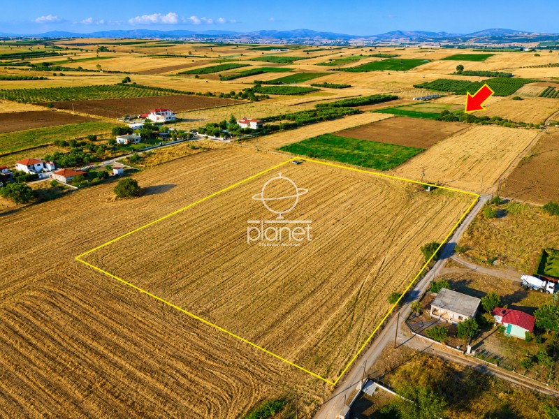 Αγροτεμάχια 14.700 τ.μ. προς πώληση, Κέντρο Επανομής