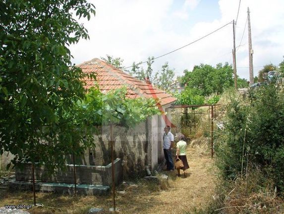 Μονοκατοικία 50 τ.μ. για πώληση, Ν. Κεφαλονιάς, Κεφαλονιά