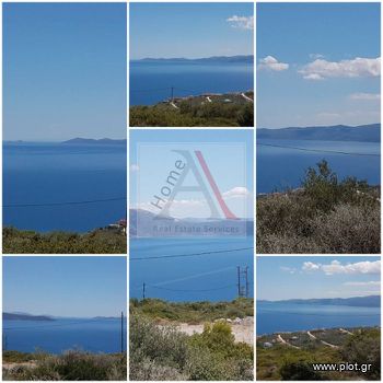 Οικόπεδο 802τ.μ. για πώληση-Ταμύνες » Ακτή νηρέως