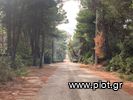 Land plot 2.047sqm for sale-Afidnes » Agia Triada