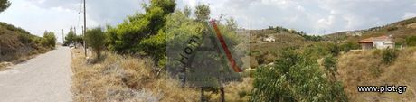 Οικόπεδο 1.003 τ.μ. για πώληση