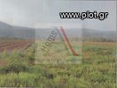 Parcel 6.875sqm for sale-Nemea » Aidonia