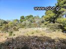 Land plot 4.153sqm for sale-Soligeia » Fragkolimano