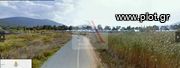 Land plot 3.837sqm for sale-Distos » Agios Dimitrios