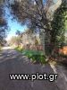 Other 304sqm for sale-Diakopto » Trapeza