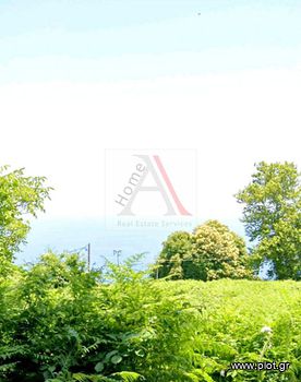 Other 503sqm for sale-Mouresi » Ntamouchari