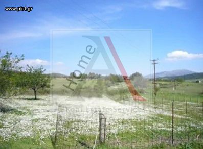 Land plot 2.050sqm for sale-Distos » Lepoira