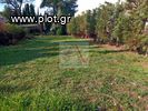 Land plot 2.000sqm for sale-Agios Stefanos » Nimfon