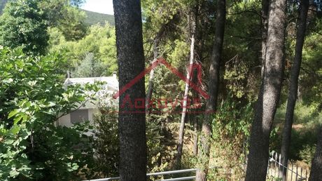 Διαμέρισμα 79τ.μ. για πώληση-Δροσιά