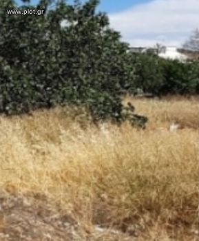 Οικόπεδο 410τ.μ. για πώληση-Παλαιό φάληρο » Ρέμα πικροδάφνης