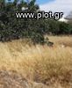 Land plot 410sqm for sale-Palaio Faliro » Rema Pikrodafnis