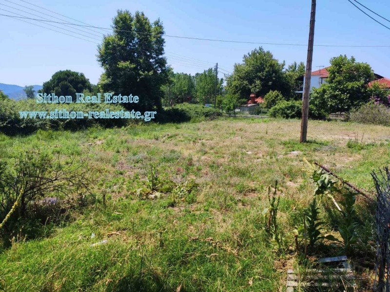 Αγροτεμάχια 1.285 τ.μ. πρός πώληση, Χαλκιδική, Τορώνη
