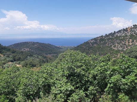 Αγροτεμάχια 800τ.μ. για πώληση-Θάσος » Σωτήρας
