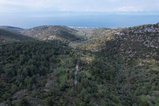 Αγροτεμάχια 800 τ.μ. για πώληση, Ν. Καβάλας, Θάσος-thumb-1