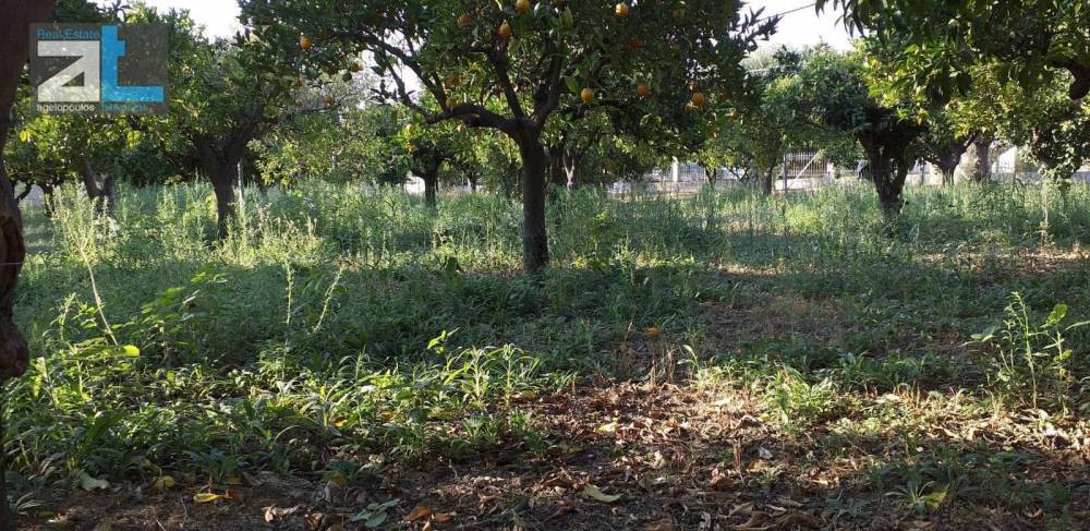 Οικόπεδο 3.250 τ.μ. προς πώληση, Αχαΐα, Παραλία