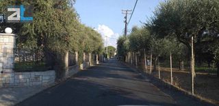 Οικόπεδο 3.250 τ.μ. για πώληση, Αχαΐα, Παραλία-thumb-5