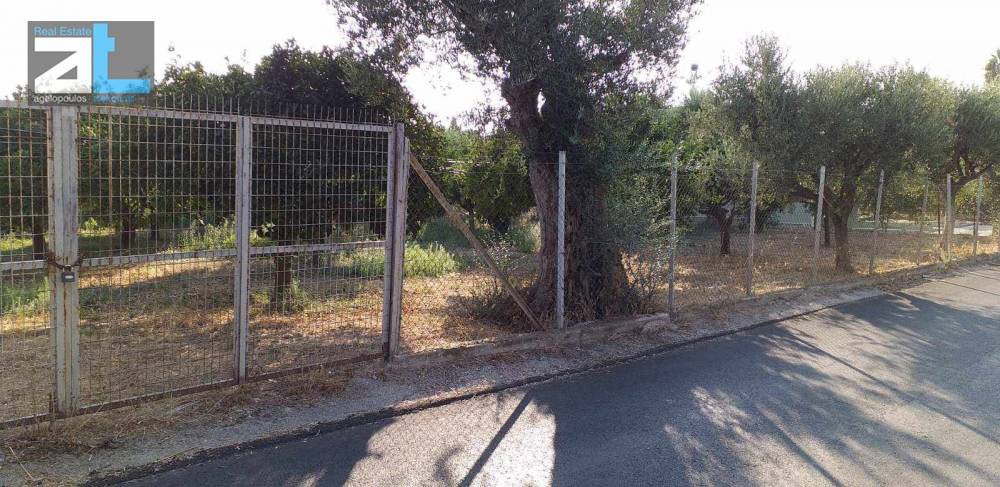 Οικόπεδο 3.250 τ.μ. προς πώληση, Αχαΐα, Παραλία