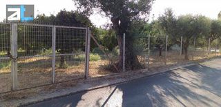 Οικόπεδο 3.250 τ.μ. για πώληση, Αχαΐα, Παραλία-thumb-1