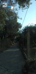 Οικόπεδο 3.250 τ.μ. για πώληση, Αχαΐα, Παραλία-thumb-4
