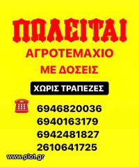 Αγροτεμάχια 7.000 τ.μ. για πώληση