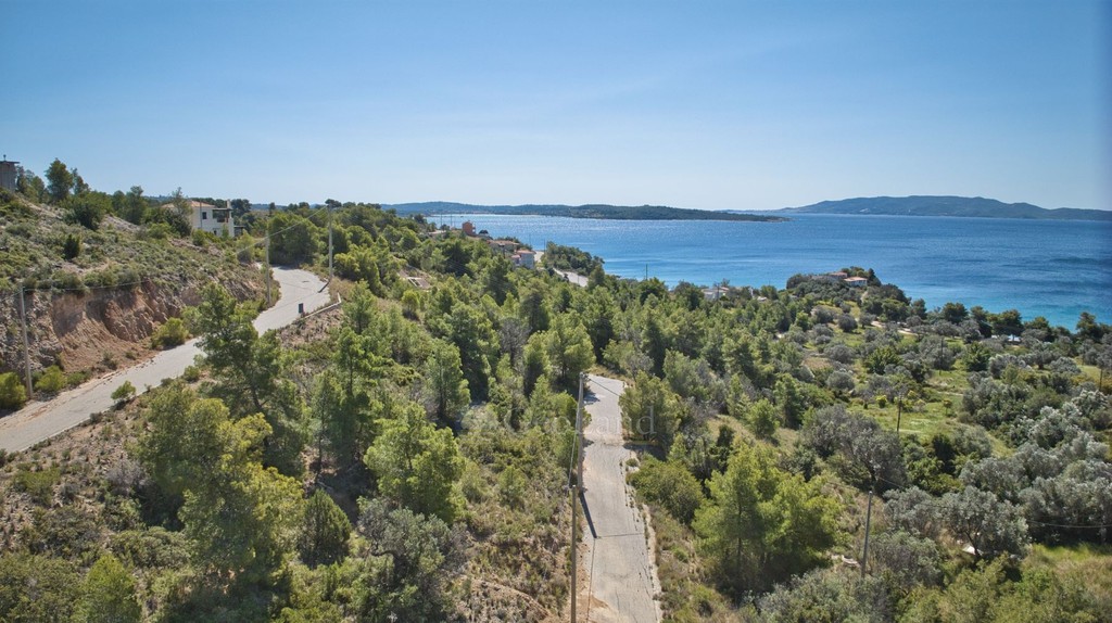 Οικόπεδο 419 τ.μ. προς πώληση, Βερβερούδα