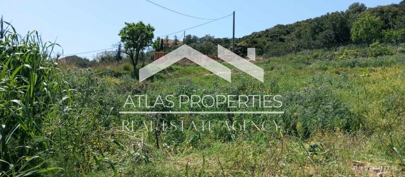 Οικόπεδο 800 τ.μ. προς πώληση, Μελισσουργείο Κολυμβαρίου
