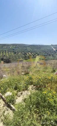 Land plot 5.080 sqm for sale, Heraklion Prefecture, Heraclion Cretes