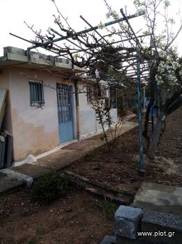 Detached home 28 sqm for sale