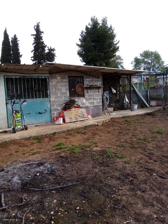 Μονοκατοικία 28 τ.μ. πρός πώληση, Βοιωτία, Θήβα