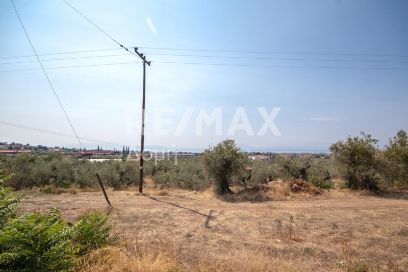 Οικόπεδο 1.145 τ.μ. πρός πώληση, Μαγνησία, Αρτέμιδα