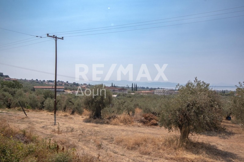 Οικόπεδο 1.145 τ.μ. πρός πώληση, Μαγνησία, Αρτέμιδα