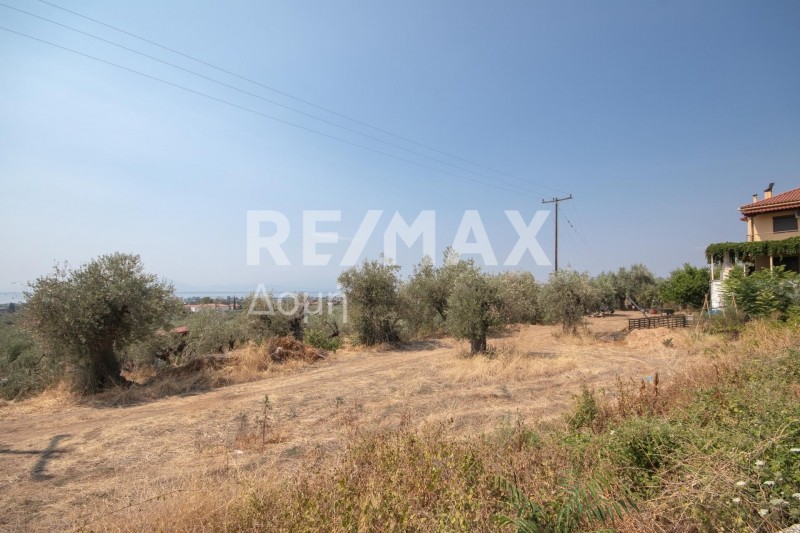 Οικόπεδο 1.145 τ.μ. πρός πώληση, Μαγνησία, Αρτέμιδα