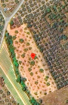 Parcel 4.200sqm for sale-Aisonia » Dimini