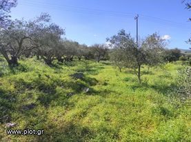 Land plot 3.059sqm for sale-Arkadi » Prinos