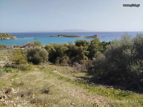 Οικόπεδο 7.000τ.μ. για πώληση-Σαλαμίνα » Περιστέρια