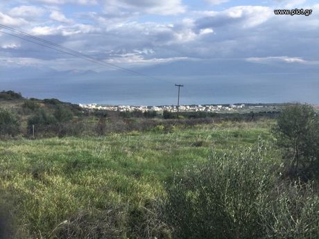 Οικόπεδο 11.000τ.μ. για πώληση-Ξυλόκαστρο » Καριώτικα