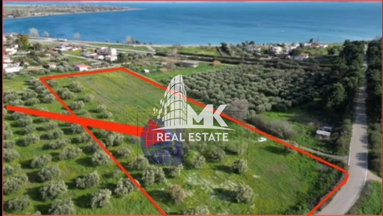 Parcel 33.000 sqm for sale, Phthiotis, Stilida